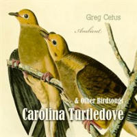 Carolina_Turtledove_and_Other_Birdsongs